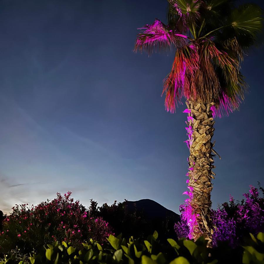 Villa Manzo Relais -Pompei Vesuvius Boscotrecase Eksteriør billede
