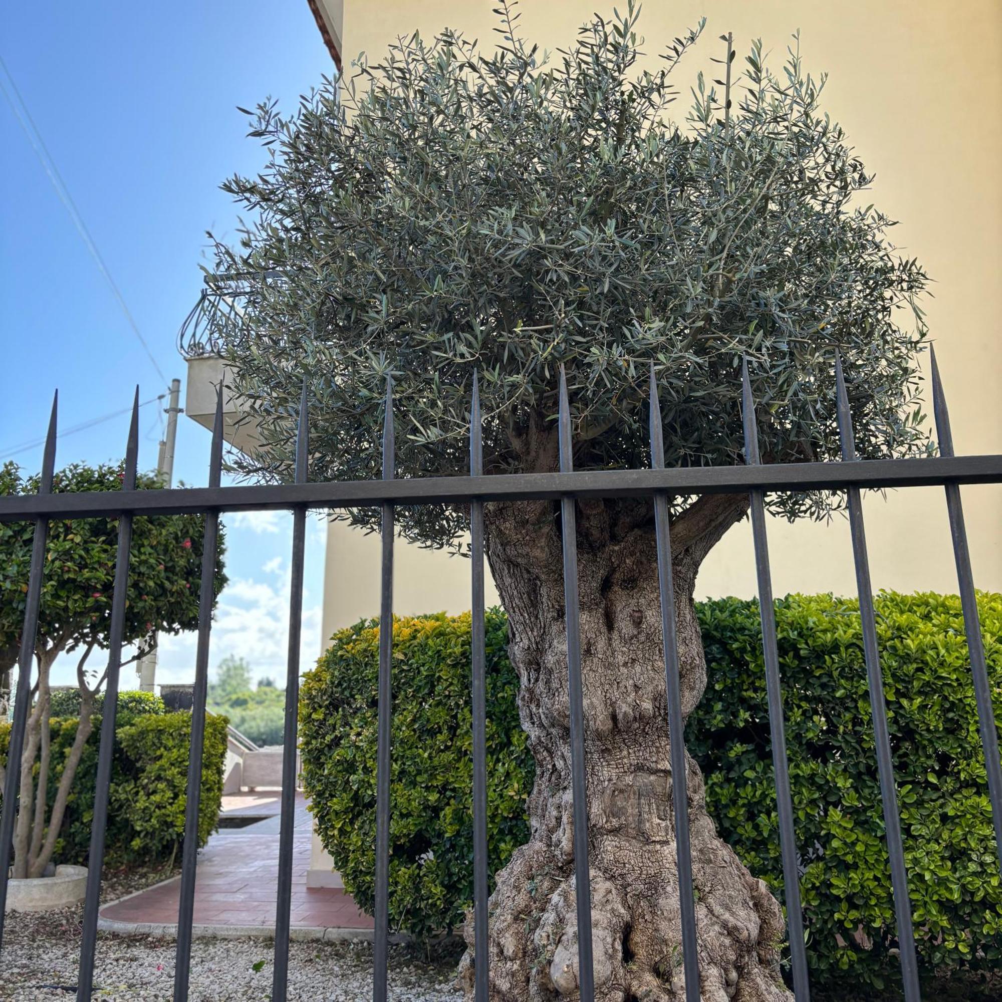 Villa Manzo Relais -Pompei Vesuvius Boscotrecase Eksteriør billede